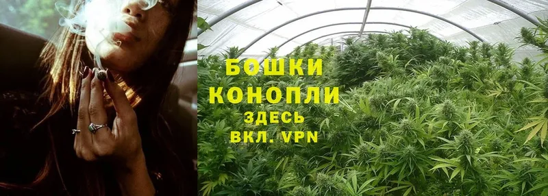 Бошки Шишки LSD WEED  купить наркоту  Валуйки 